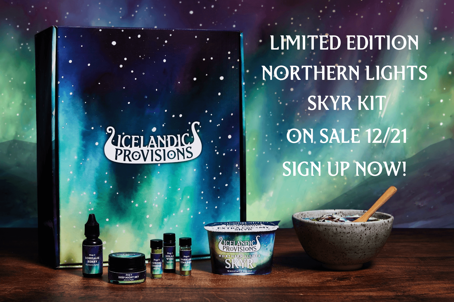 Northern Lights Banner